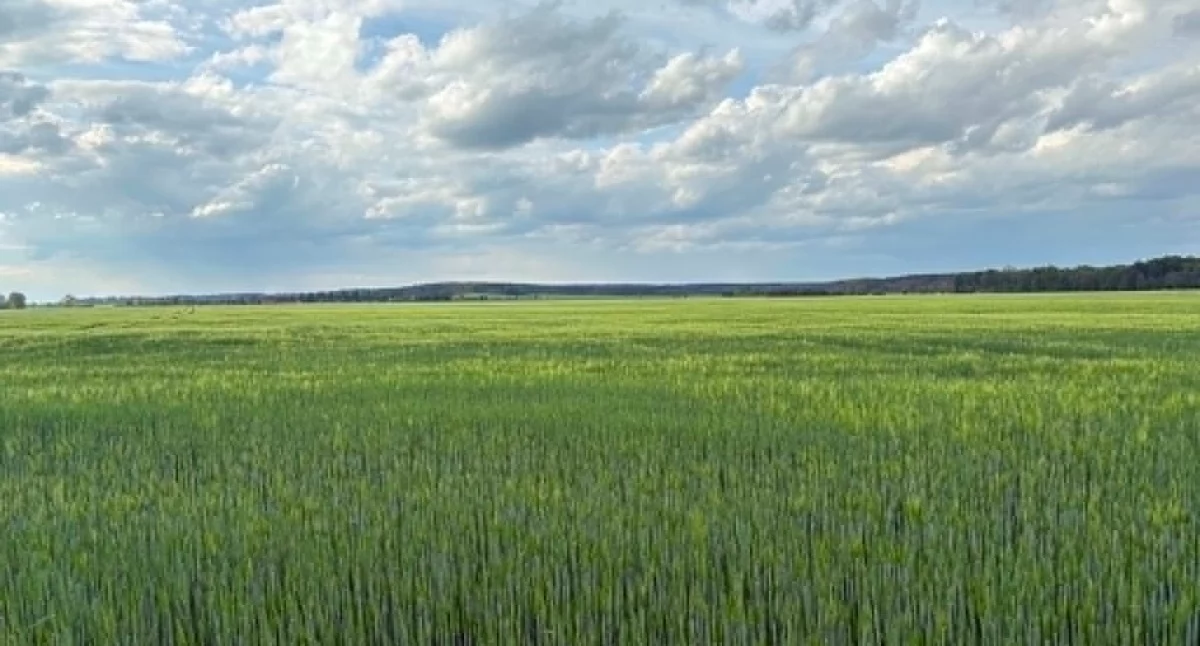 Przypomnienie przed wypoczynkiem na łonie natury: Kleszcze nie śpią
