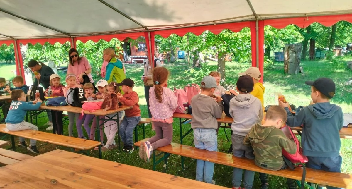 Przypominamy- przed nami pszczeli weekend z naturą. IV Dzień Otwarty w Pasiece Zuzia w Domaszkowie