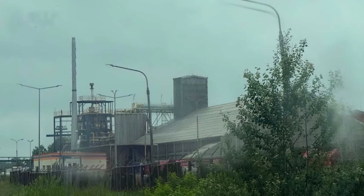 Letni smród w Brzegu Dolnym: Coroczna tradycja, do której po prostu musimy się przyzwyczaić