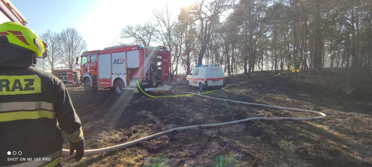 Palił się las. Interweniowało kilka zastępów straży pożarnej
