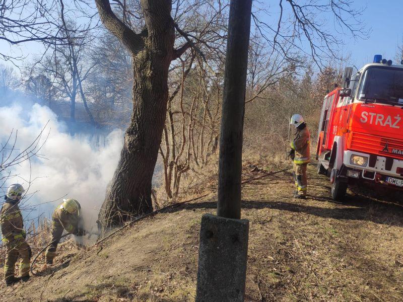 W trakcie wspólnej służby zapobiegli pożarowi