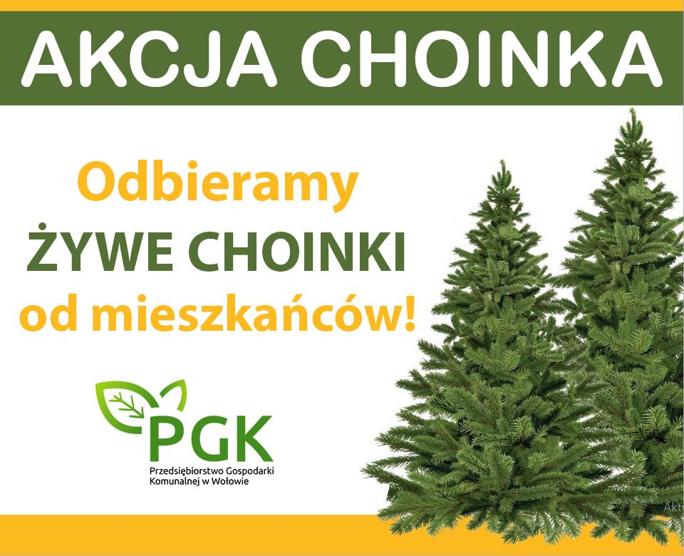 Przedsiębiorstwo Gospodarki Komunalnej w Wołowie odbiera choinki od mieszkańców
