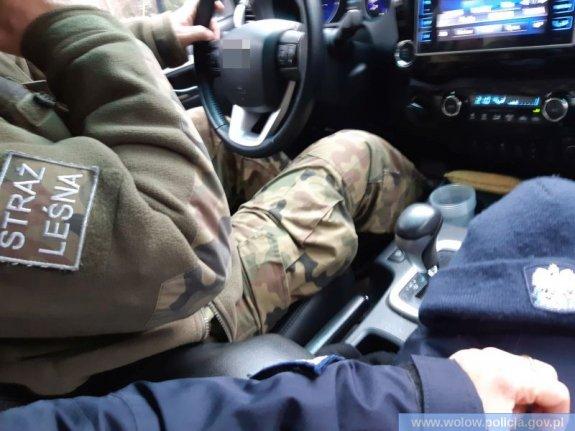Straż Leśna i policjanci szukali złodziei choinek