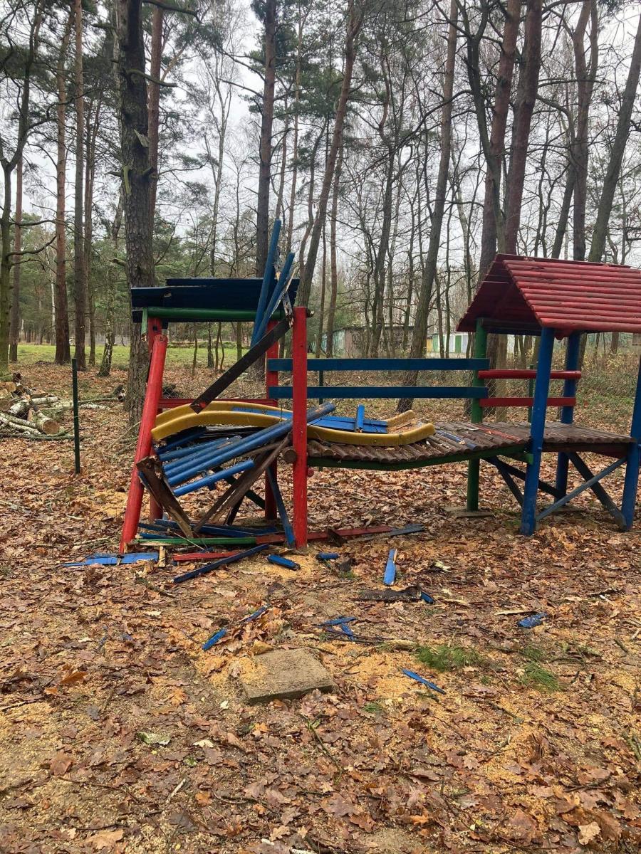 Mieszkaniec krytykuje wybieg psów: zobaczcie jakie wybiegi dla psów są w Trzebnicy i Polkowicach