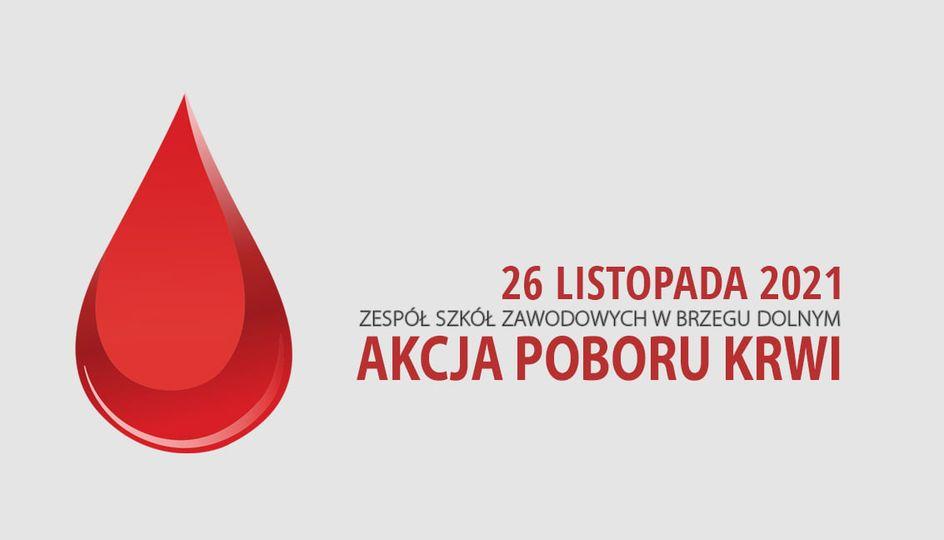 Ostatnia szansa na oddanie krwi w tym roku