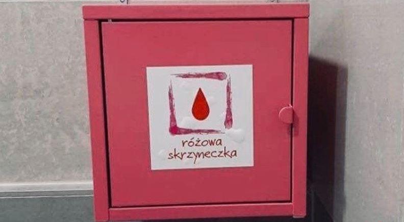 Różowe Skrzyneczki trafiły do wszystkich miejskich szkół w Brzegu Dolnym