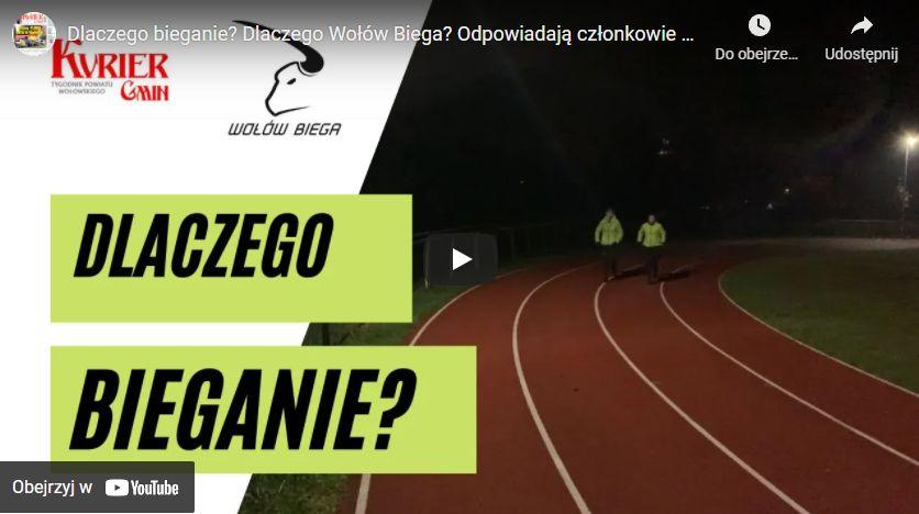Dlaczego Wołów Biega? [WIDEO]