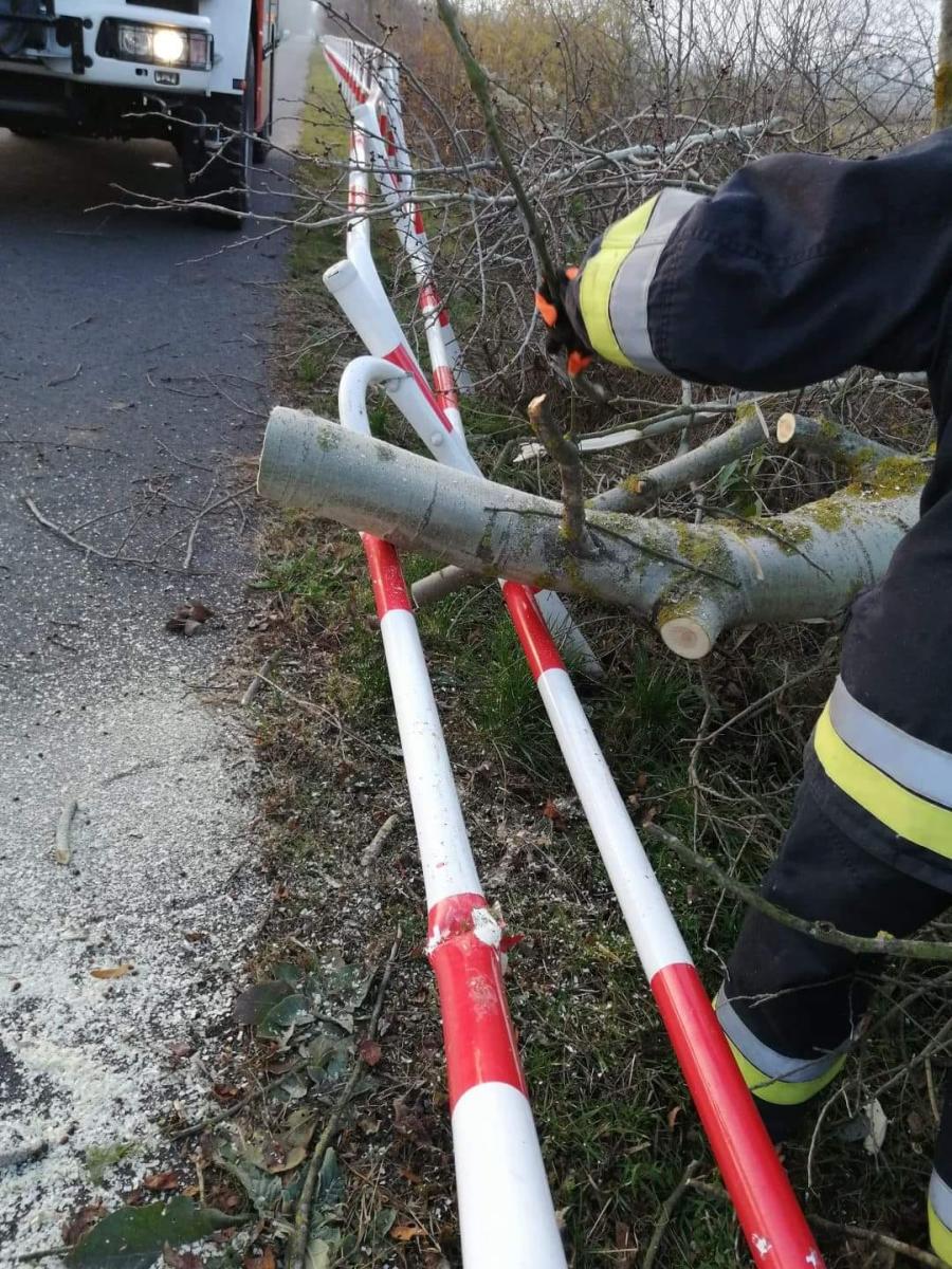 Strażacy z Lubiąża usuwali powalone przez bobry drzewo