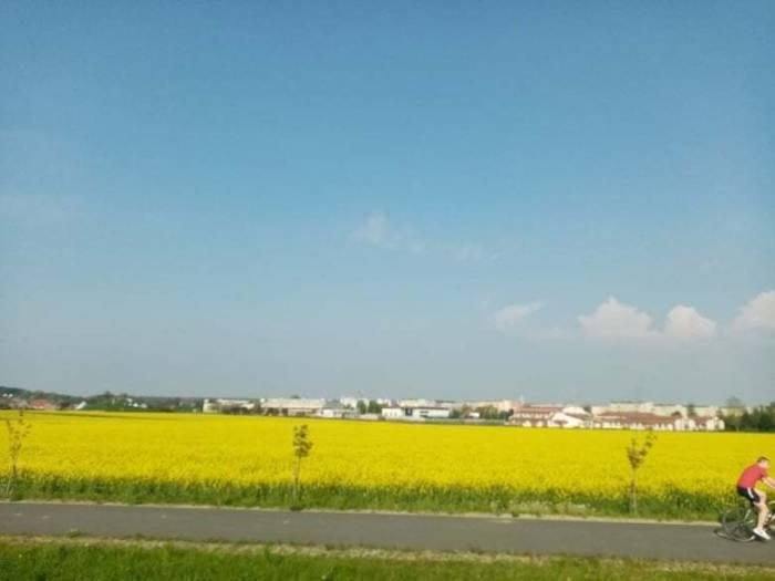 Gmina oddaje zielone tereny pod blokowiska i przemysł