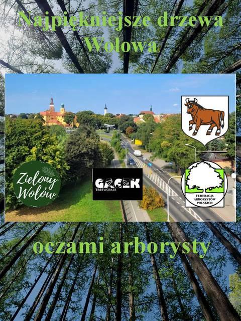Spacer wśród drzew Wołowa już 10 października