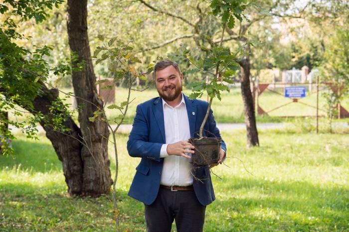 Drzewko na e-fakturę