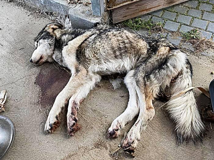 Walka w rodzinie doprowadziła do tragedii