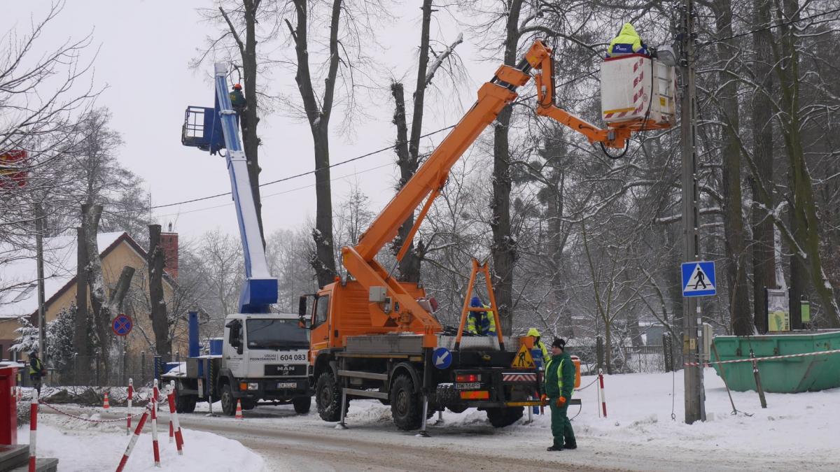 Dlaczego służby komunalne wycięły drzewa przy stadionie?