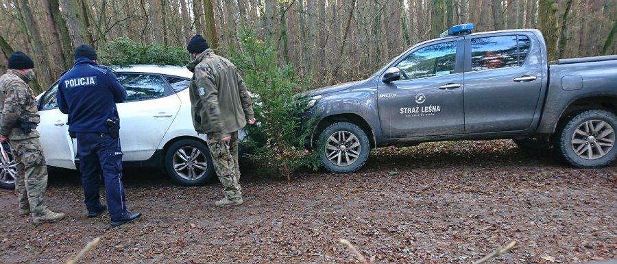 Wspólne działania policjantów i strażników leśnych