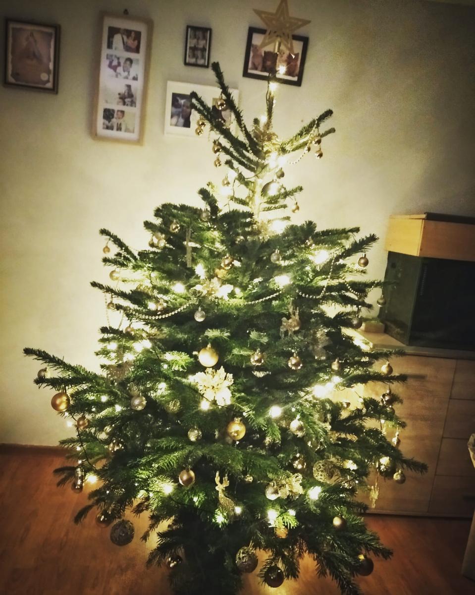 Piękne choinki naszych Czytelników [ZDJĘCIA]