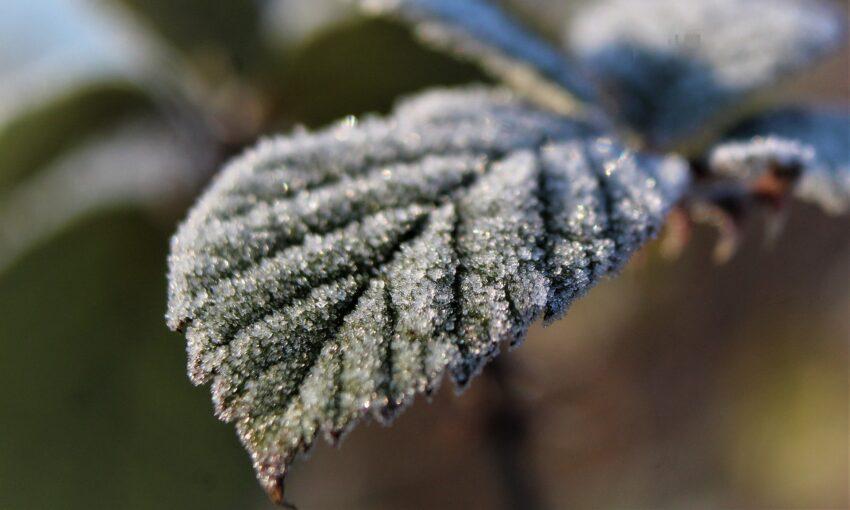 Ostrzeżenie meteorologiczna dla powiatu wołowskiego
