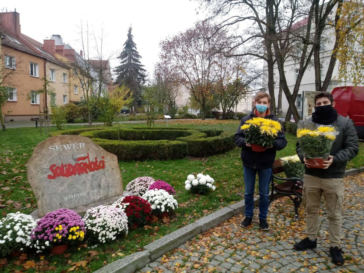 Chryzantemy trafiły na cmentarze i miejsca pamięci w powiecie