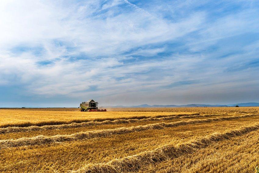 Specjalna rekompensata dla rolników, którzy kończą działalność