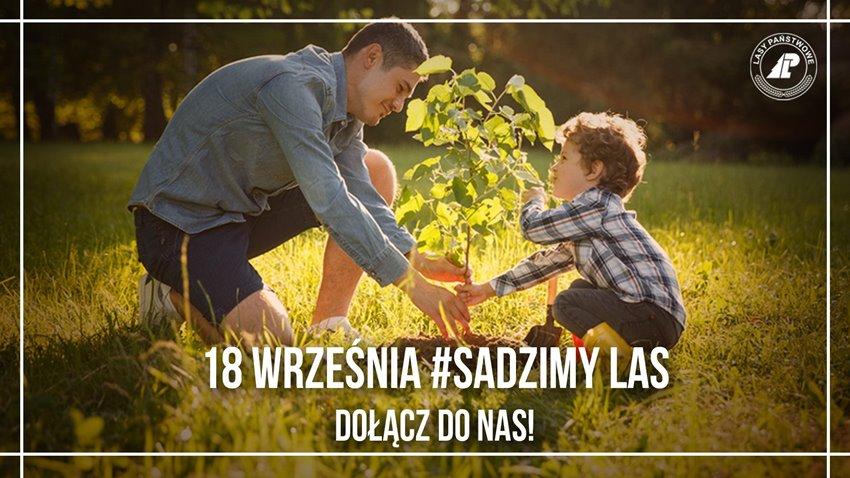 Nadleśnictwo Wołów zaprasza do udziału w akcji SadziMY 2020