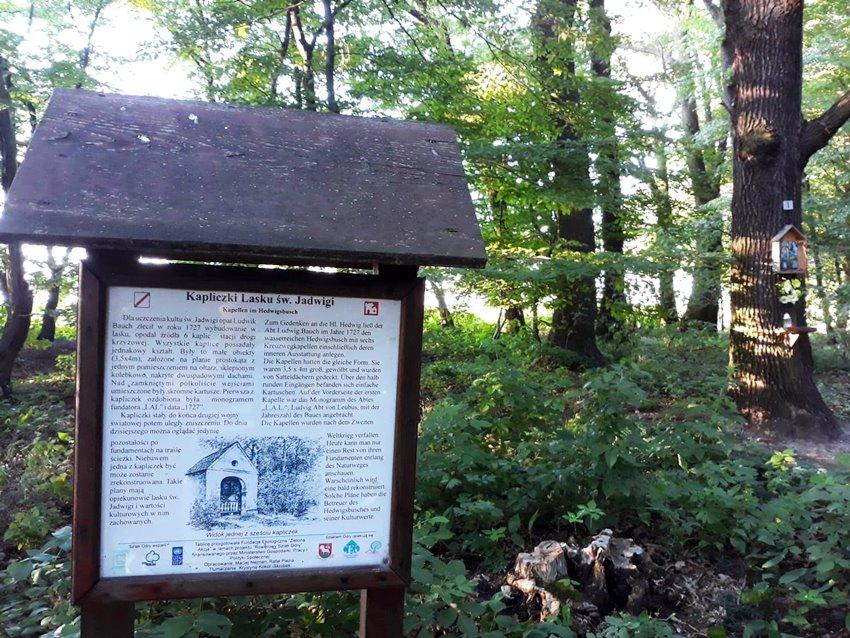 Lubiąż wzbogaci się o nową atrakcję turystyczną