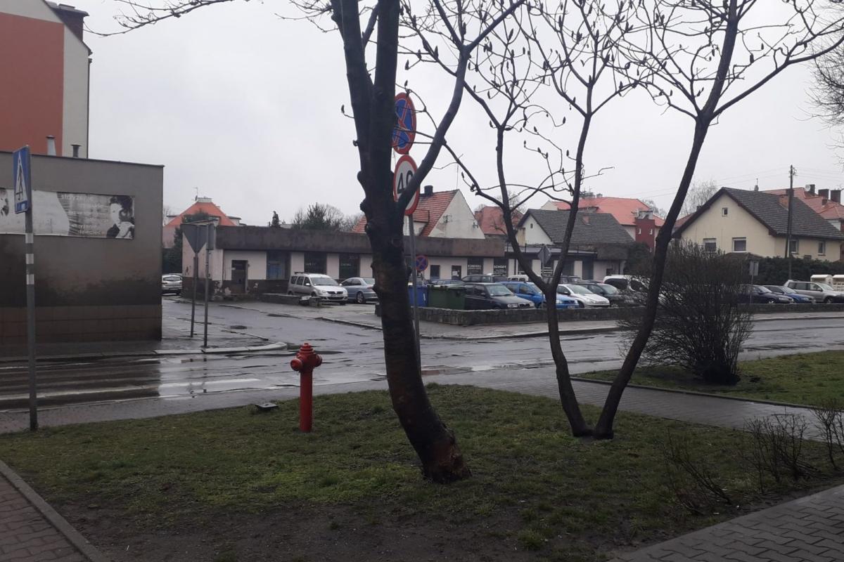 Coraz cieplej, ale też deszczowo