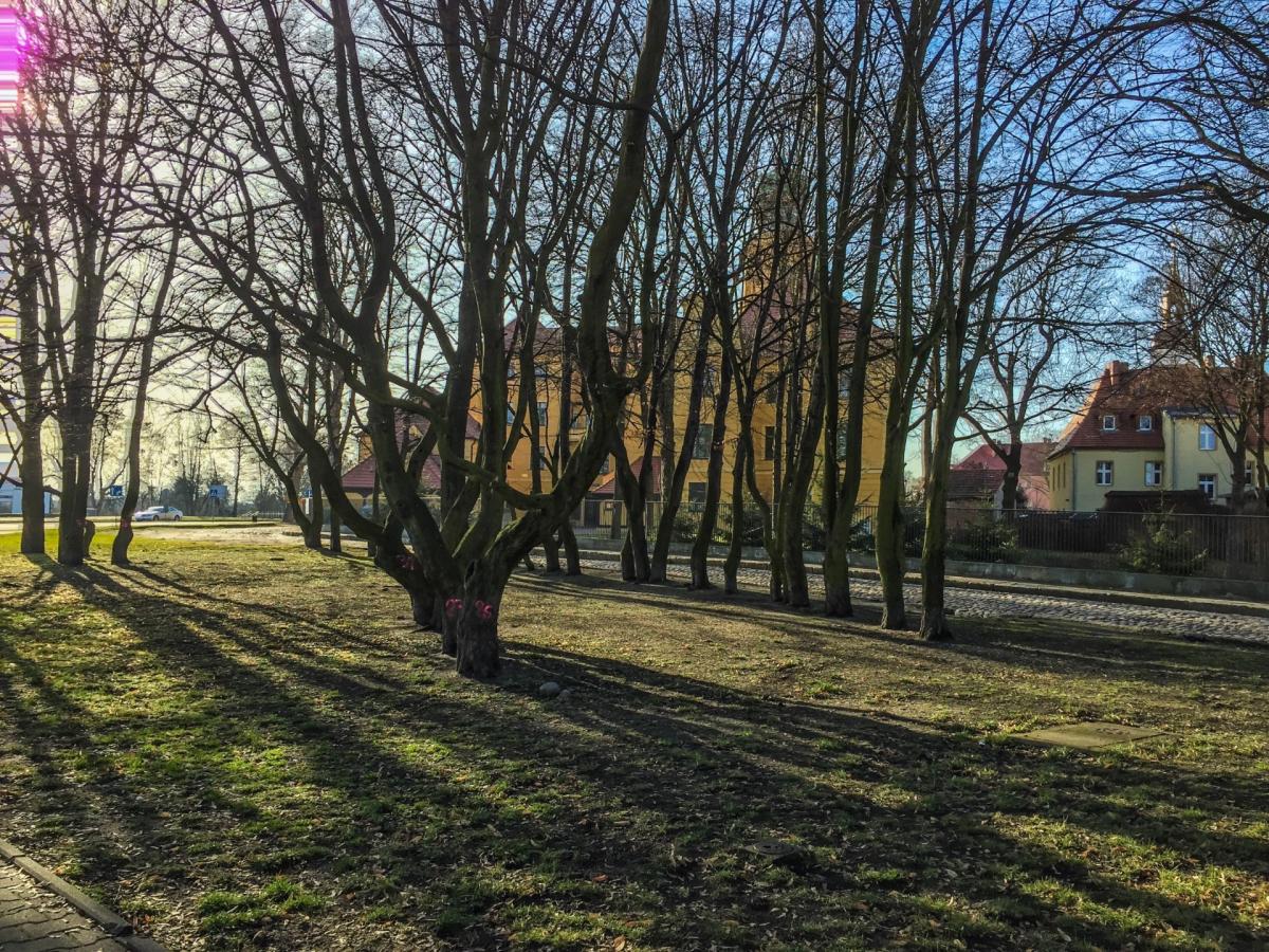Na koniec tygodnia może spaść deszcz ze śniegiem