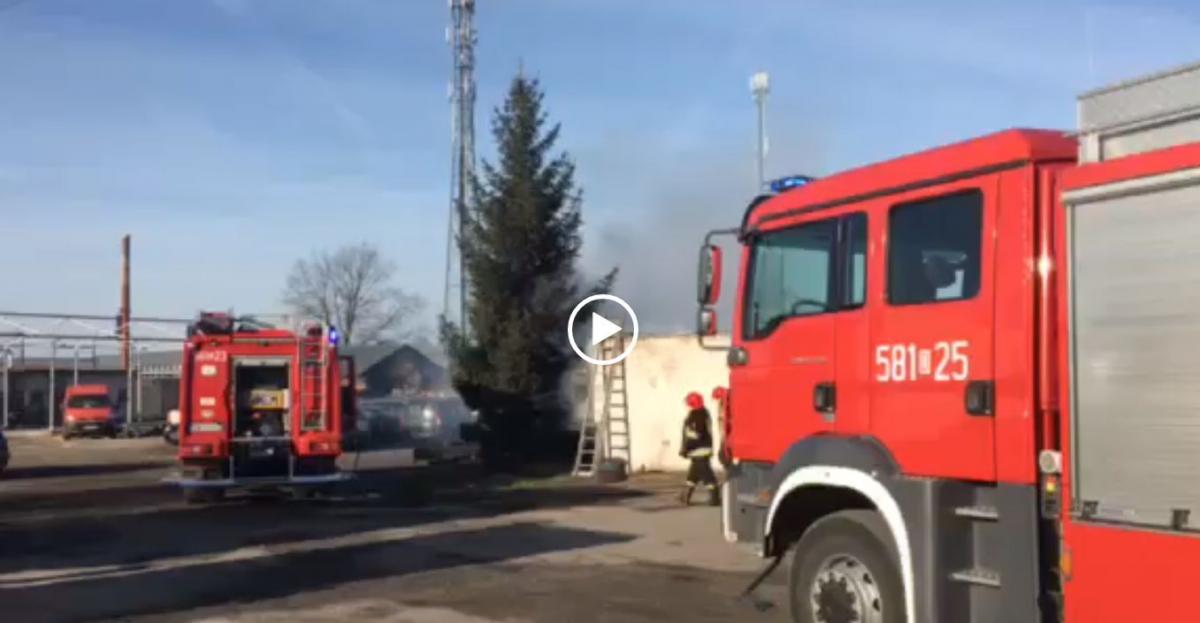 Strażacy gaszą pożar w Wołowie [wideo]