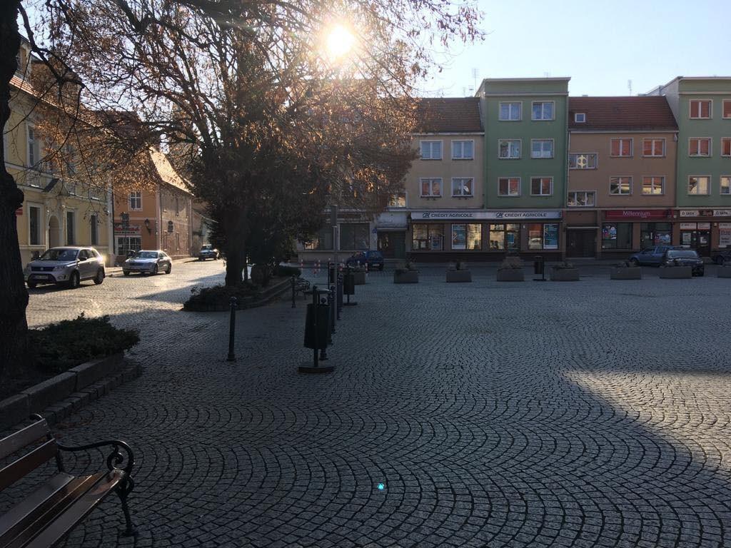 Bez skoków temperatur. Jeszcze poczekamy na zimę