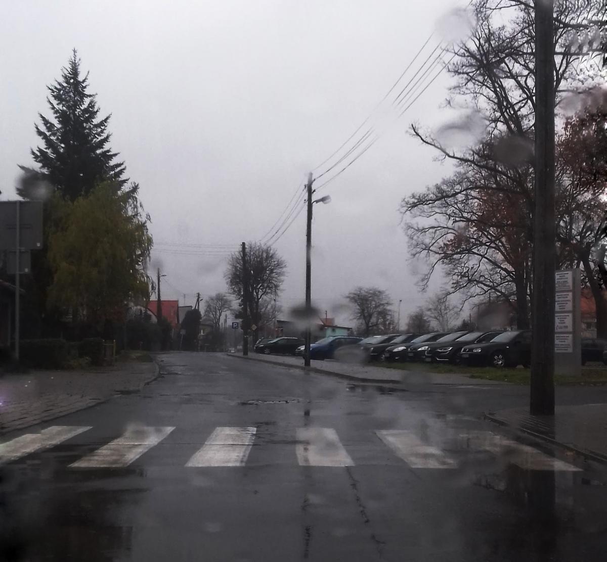 Piesi czy kierowcy?