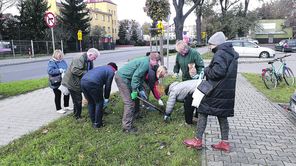 Seniorzy dbają o ulice Wołowa [wideo]