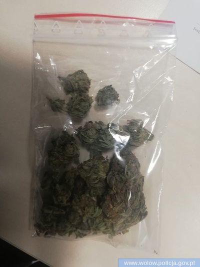 Nieletni pod kontrolą policji w Brzegu Dolnym
