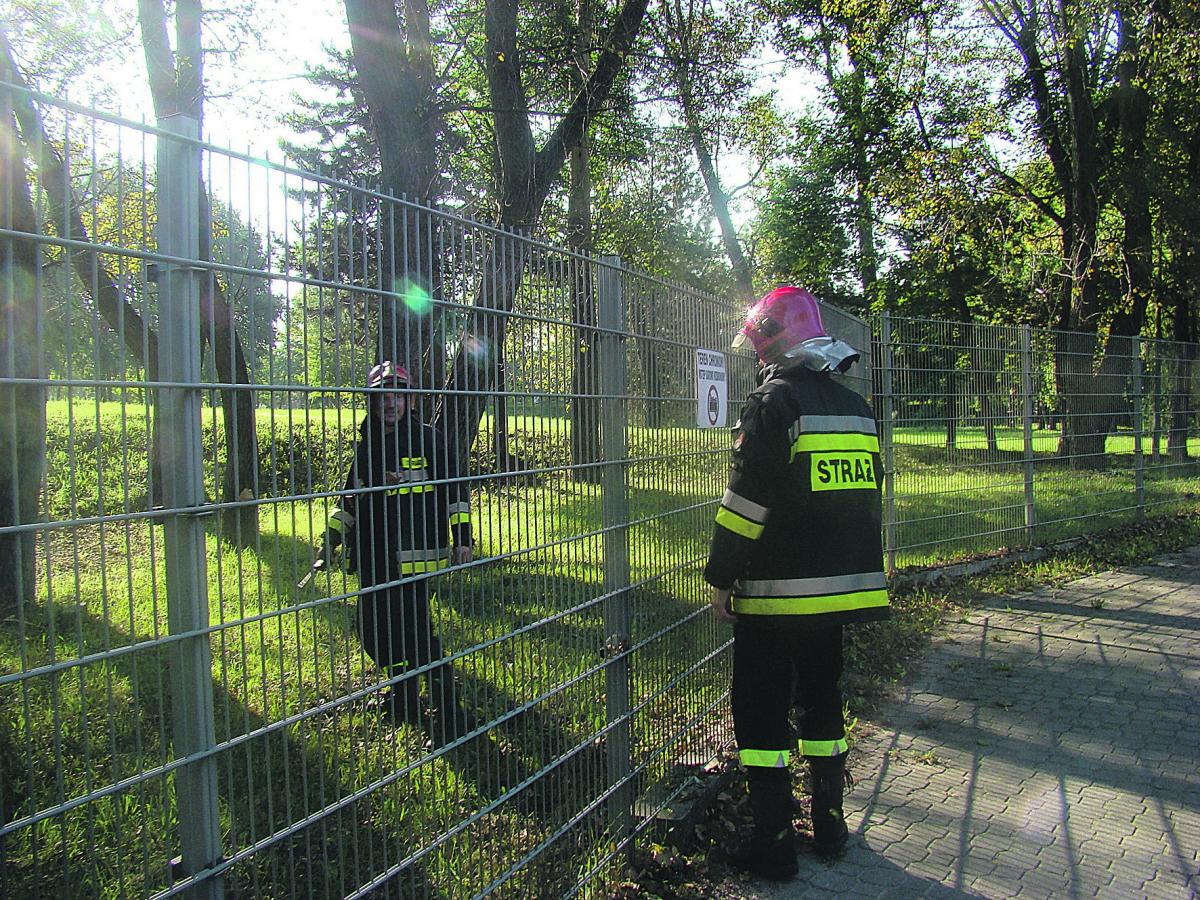Dlaczego było cicho w Brzegu o awarii chemicznej? Urząd wyjaśnia