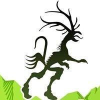 Wzięli udział w 11. Maratonie Karkonoskim ULTRA
