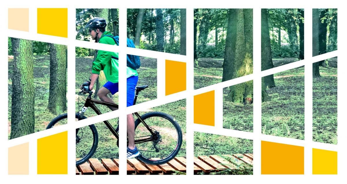 Rowerowy zawrót głowy! Dzięki dotacjom unijnym na Dolnym Śląsku powstało wiele ścieżek i single tracków