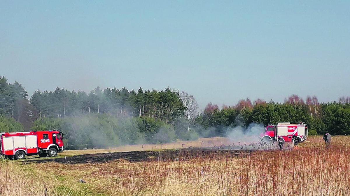 Za wypalanie traw grozi nawet więzienie