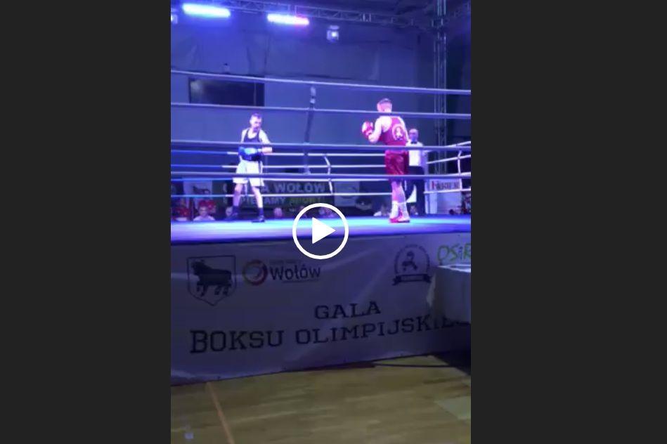 Na hali w Wołowie trwa Gala Boksu Olimpijskiego! Takiego wydarzenia nie było od lat