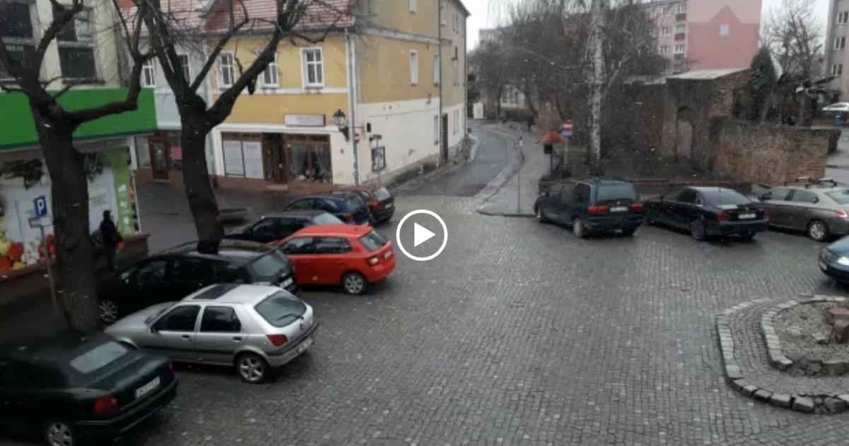 W marcu jak w garncu. Idzie wiosna czy będzie jeszcze zima?