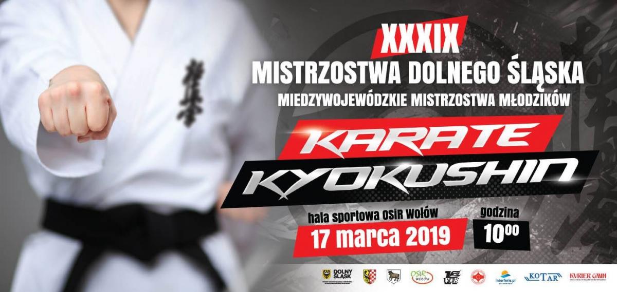 Mistrzostwa Dolnego Śląska Karate Kyokushin w Wołowie