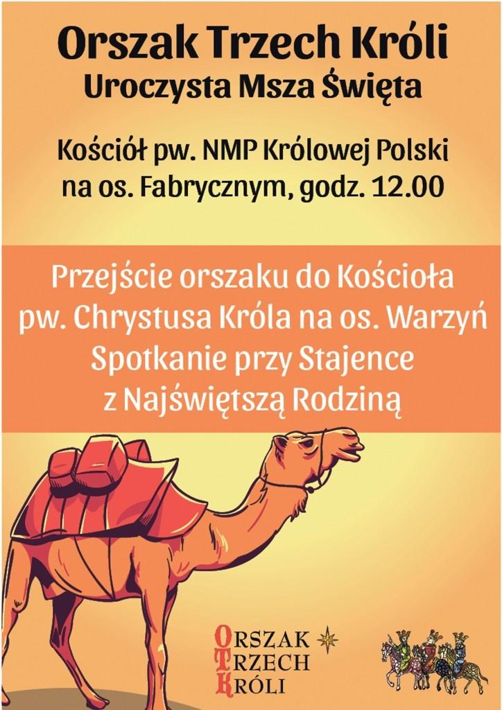 Orszak Trzech Króli w Brzegu Dolnym