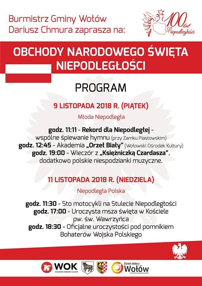 Obchody Narodowego Święta Niepodległości w Wołowie