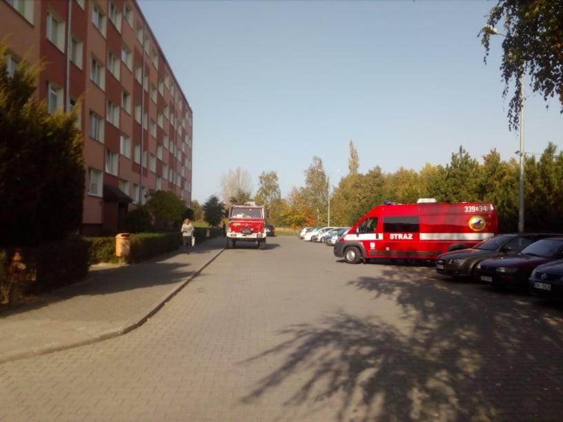 Wyszedł na grzyby i nie wrócił