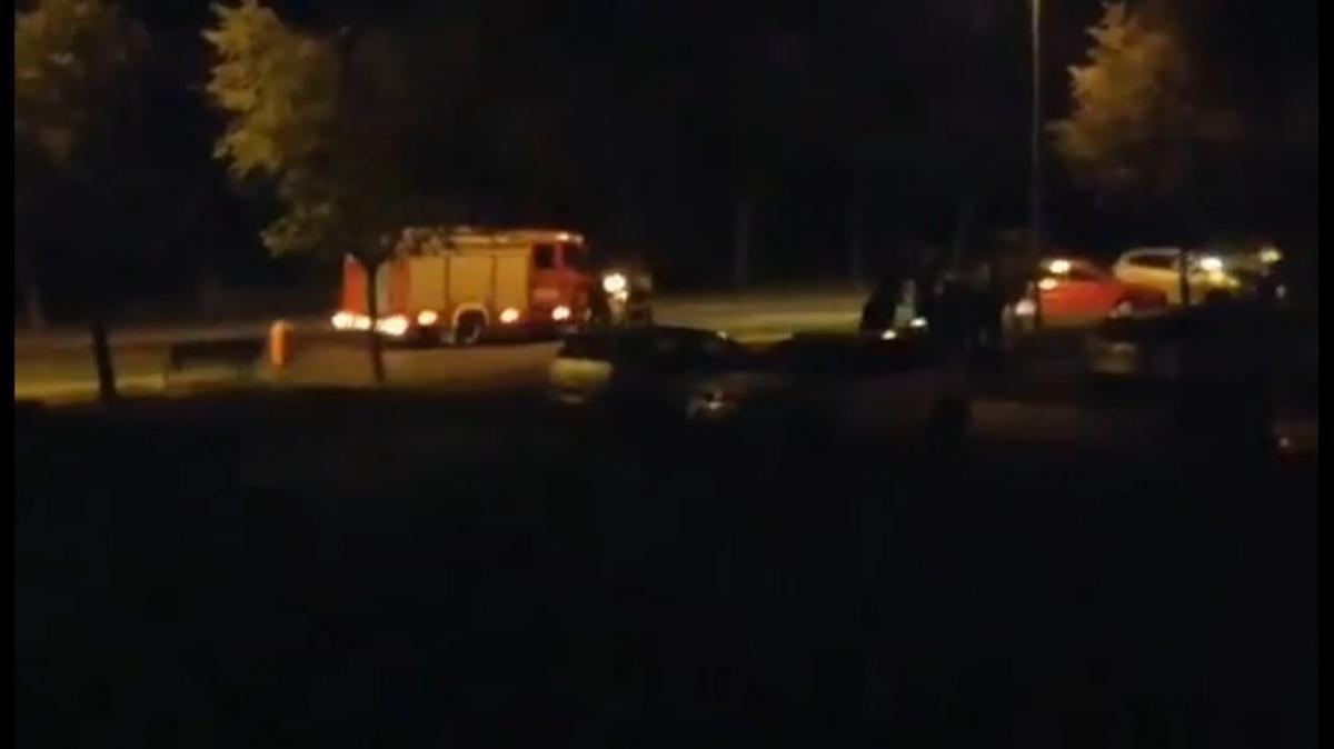 Kotek w niebezpieczeństwie! - wideo