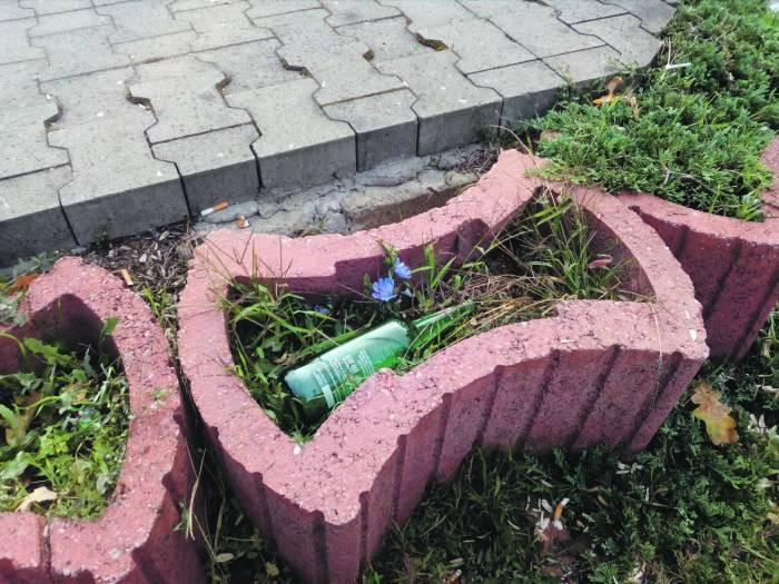 Zaśmiecony park na osiedlu Fabrycznym