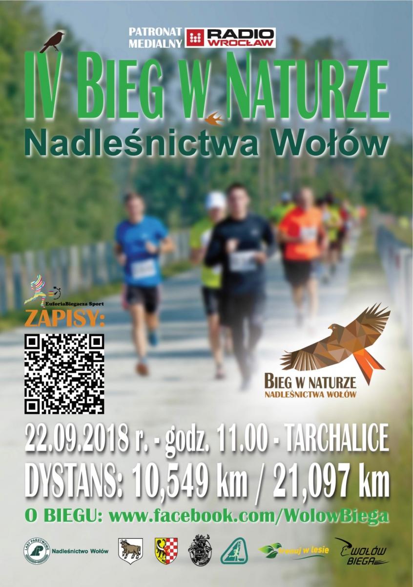 Jakie działania związane z ochroną środowiska realizuje obecnie Nadleśnictwo Wołów?