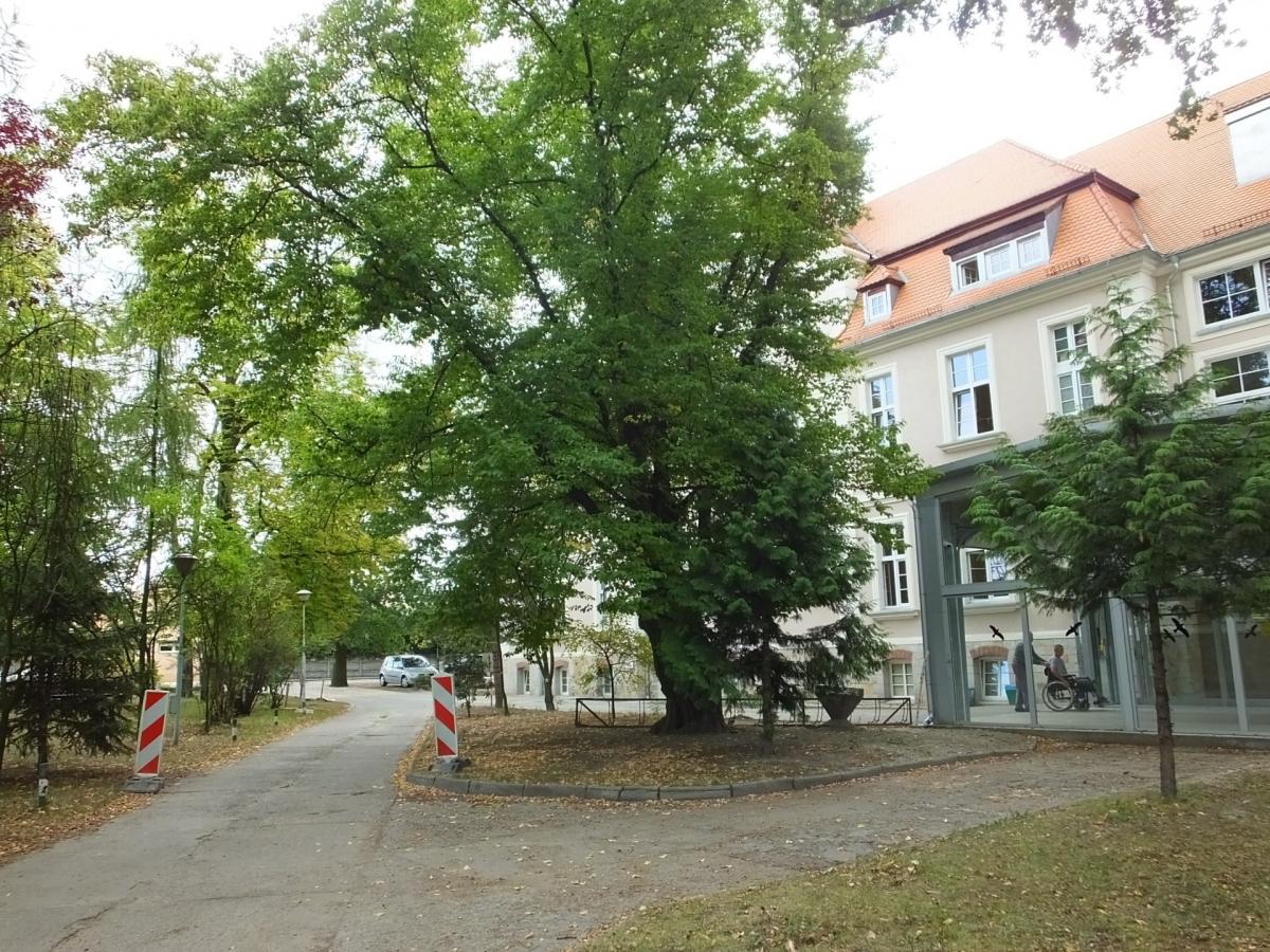 W naszym powiecie powstanie pierwszy park kieszonkowy