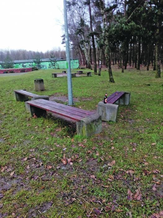 Zaniedbany park w Brzegu Dolnym! Co dalej?