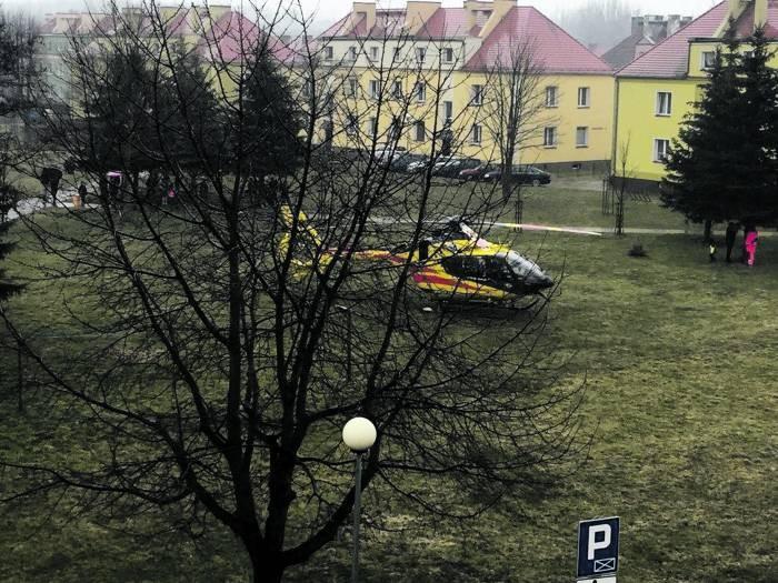 Brzeg Dolny: Pożary i wypadki - Płoną lasy!