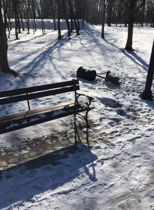 Zgłoś wandalizm, kradzież, rozbój