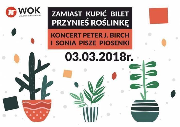 WOK: Koncert za roślinkę
