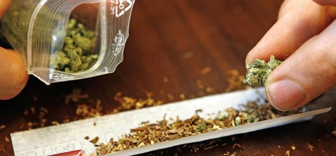 Marihuana dla chorego! 21 latek zatrzymany!